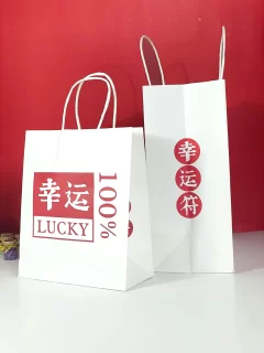 Durable Tote Bag Paper Gift Bag with Custom Logo for Shopping - Image 4